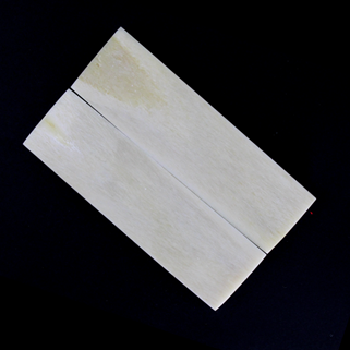 horn-bone-scale01